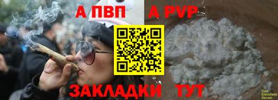 ПСИЛОЦИБИНОВЫЕ ГРИБЫ Тверь