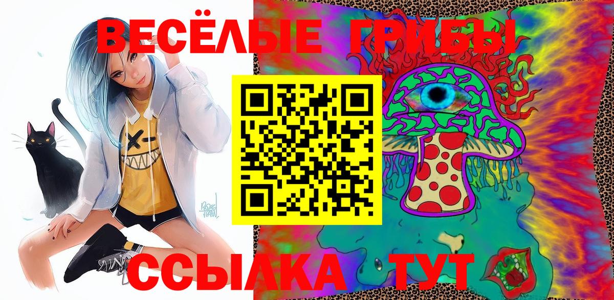Псилоцибиновые грибы Psilocybine cubensis Астрахань